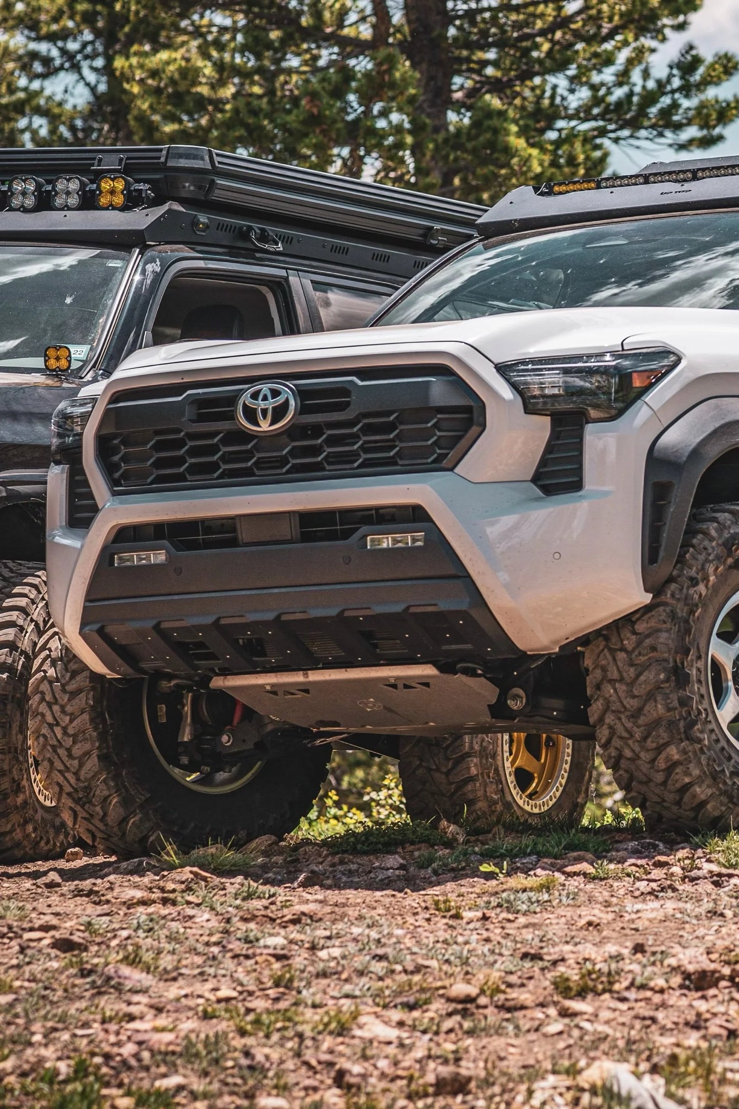 2024-Current Toyota Tacoma Skid Plate Assembly
